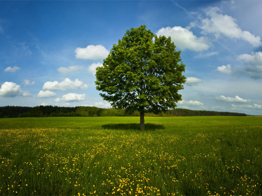 45003 (a): :1600x1200